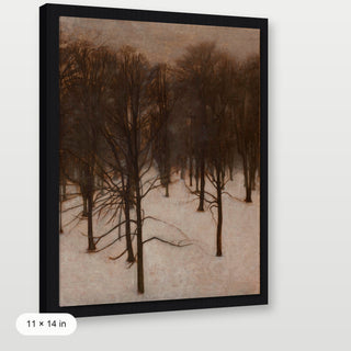 Park in Winter
