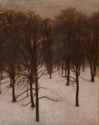Park in Winter
