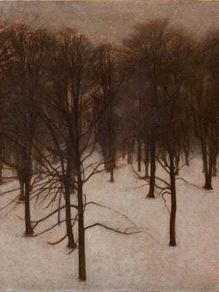 Park in Winter