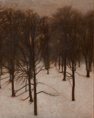 Park in Winter