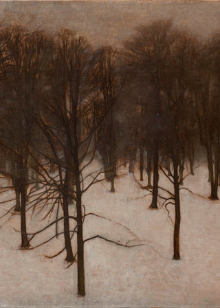 Park in Winter