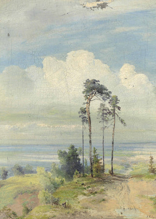 Neutral Coastal Trees