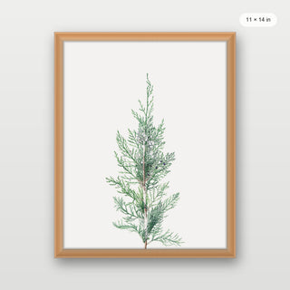 Winter Branch