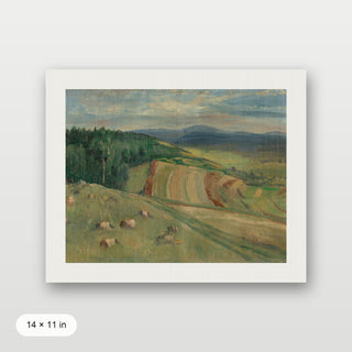 Rolling Farm Fields