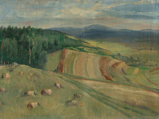 Rolling Farm Fields