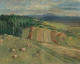 Rolling Farm Fields
