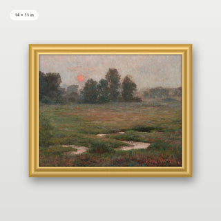Orange Evening Sunset