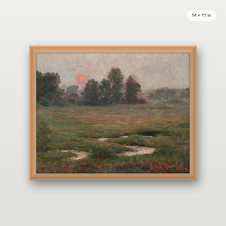 Orange Evening Sunset