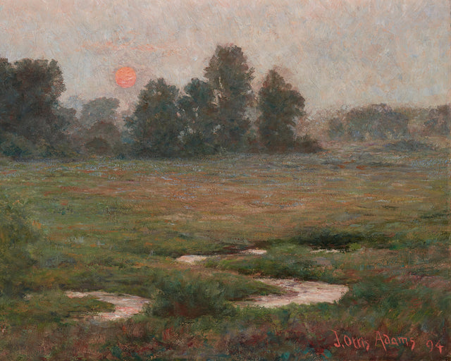 Orange Evening Sunset, Full Bleed