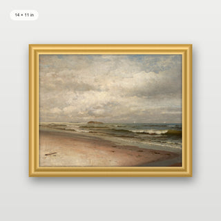Coastal Beach
