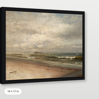 Coastal Beach