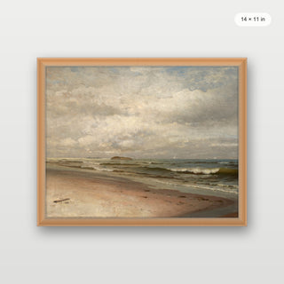 Coastal Beach
