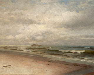 Coastal Beach
