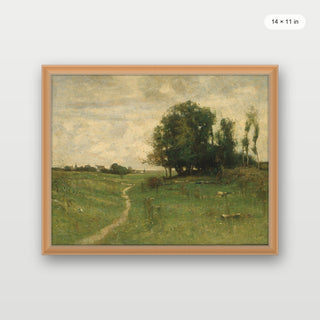 Country Path