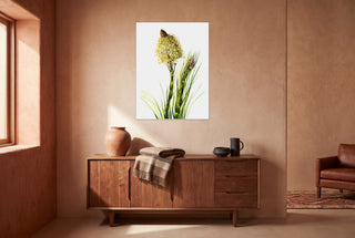 Tall Flower