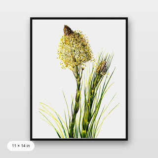 Tall Flower