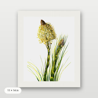 Tall Flower