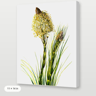 Tall Flower