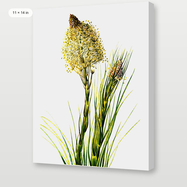 Tall Flower, Gallery Wrap