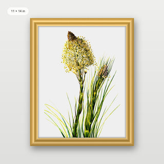 Tall Flower