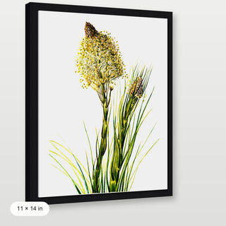 Tall Flower