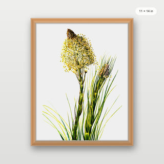 Tall Flower