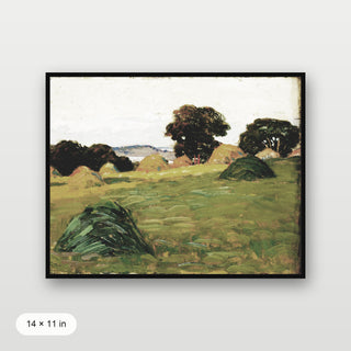 Country Landscape