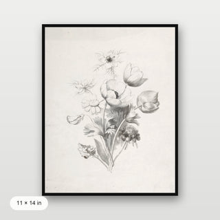 Flower Sketch