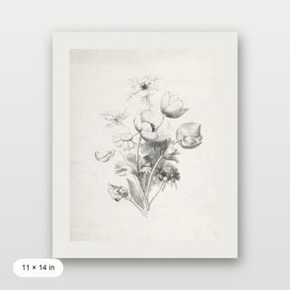 Flower Sketch