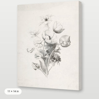 Flower Sketch