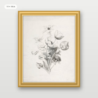Flower Sketch