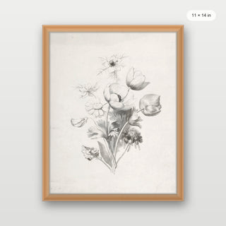 Flower Sketch