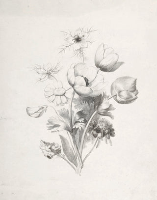 Flower Sketch