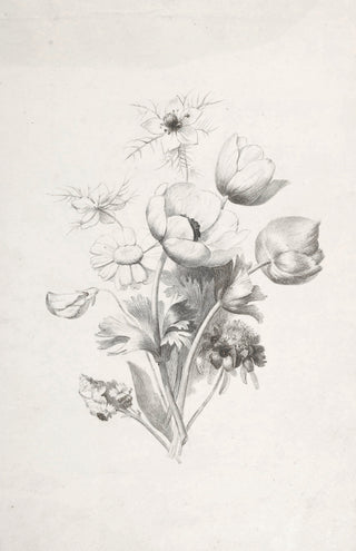 Flower Sketch
