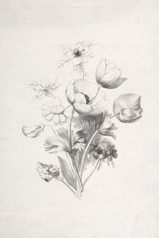 Flower Sketch