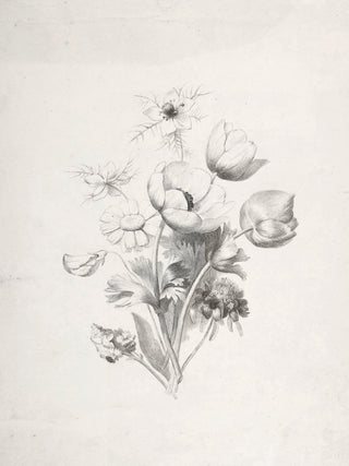 Flower Sketch