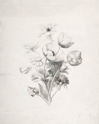 Flower Sketch