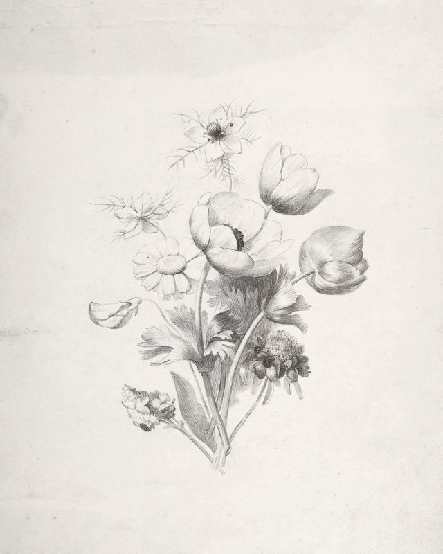 Flower Sketch, Full Bleed