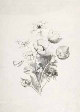 Flower Sketch