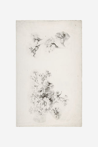 Botanical Parchment