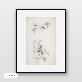 Botanical Parchment