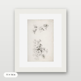Botanical Parchment