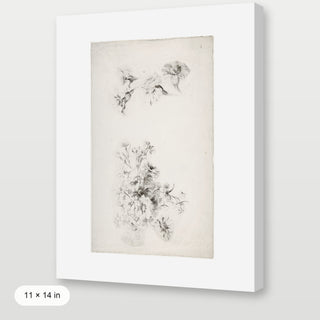 Botanical Parchment