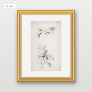 Botanical Parchment