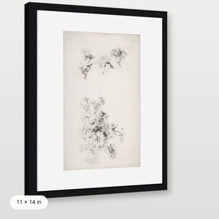 Botanical Parchment