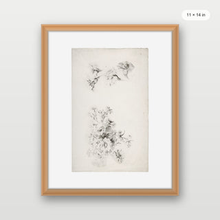 Botanical Parchment
