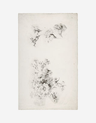 Botanical Parchment