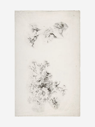 Botanical Parchment