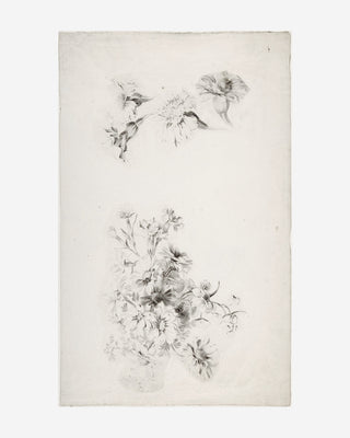 Botanical Parchment