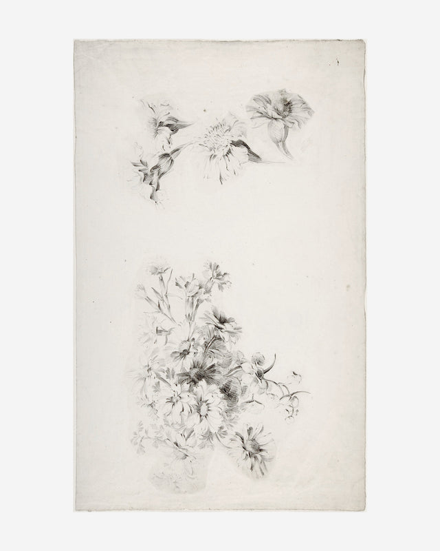 Botanical Parchment, Full Bleed
